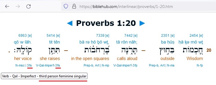 Is Proverbs 8 About Jesus?